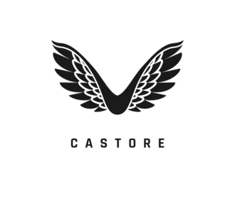 Castore UK logo – premium sportswear and performance apparel brand