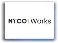 Create A Professional Image With A Virtual Business Address From MycoWorks